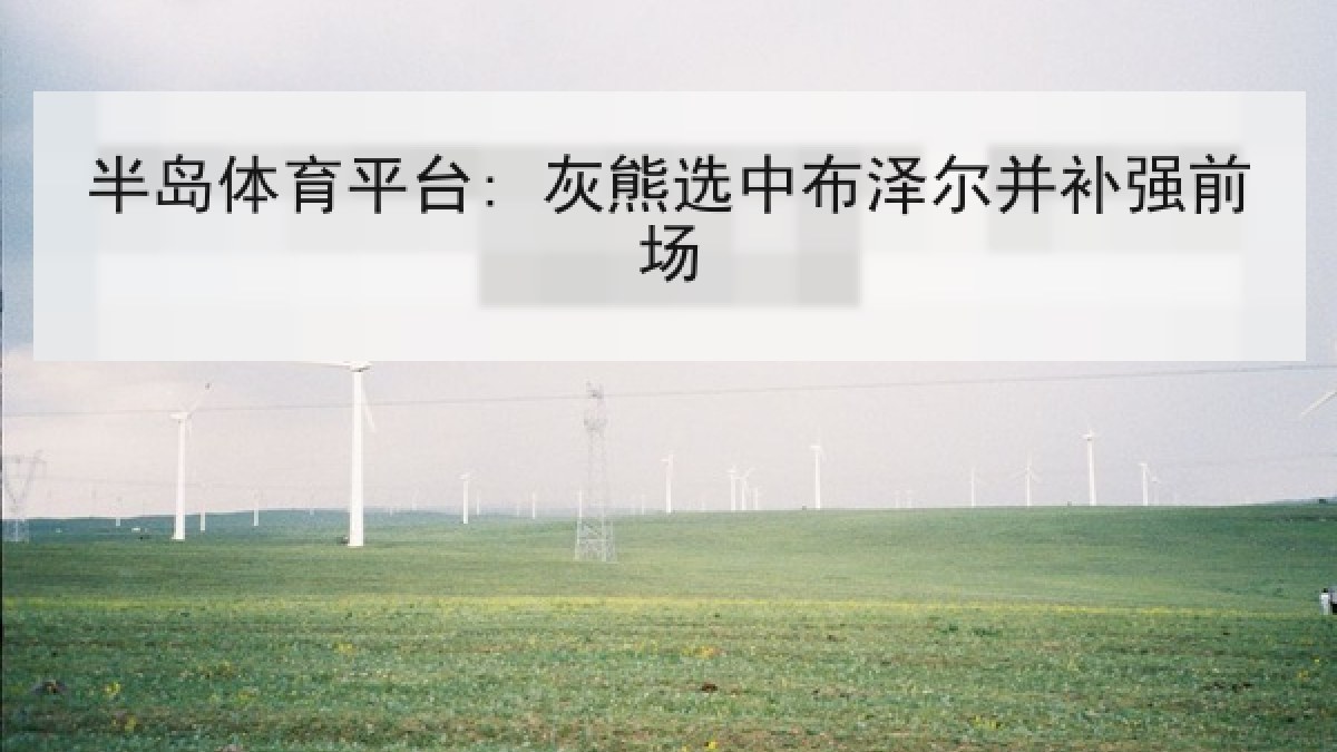 半岛体育平台: 灰熊选中布泽尔并补强前场 半岛体育平台: 灰熊选中布泽尔并补强前场