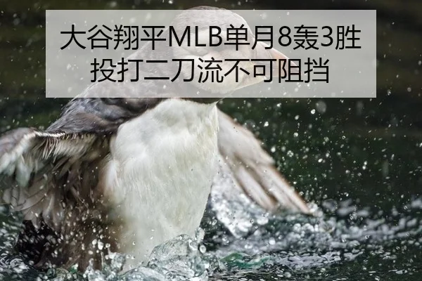大谷翔平MLB单月8轰3胜投打二刀流不可阻挡