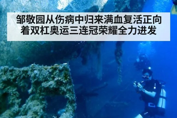 邹敬园从伤病中归来满血复活正向着双杠奥运三连冠荣耀全力进发